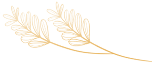 kwiatekzloty
